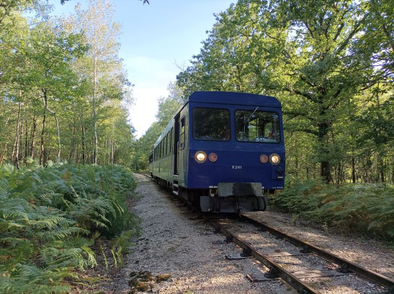 GR de Pays de Valençay Boucle "Bois et bocage en Pays d'Écueillé" Écueillé Centre-Val de Loire