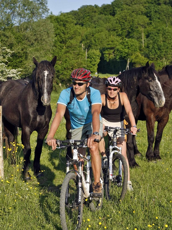 La vallée de l'Yerre La Bazoche-Gouet Centre-Val de Loire