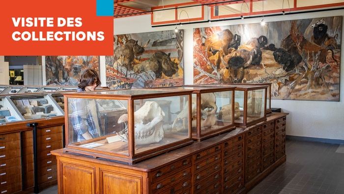 Midi des collections Campus de Beaulieu Rennes