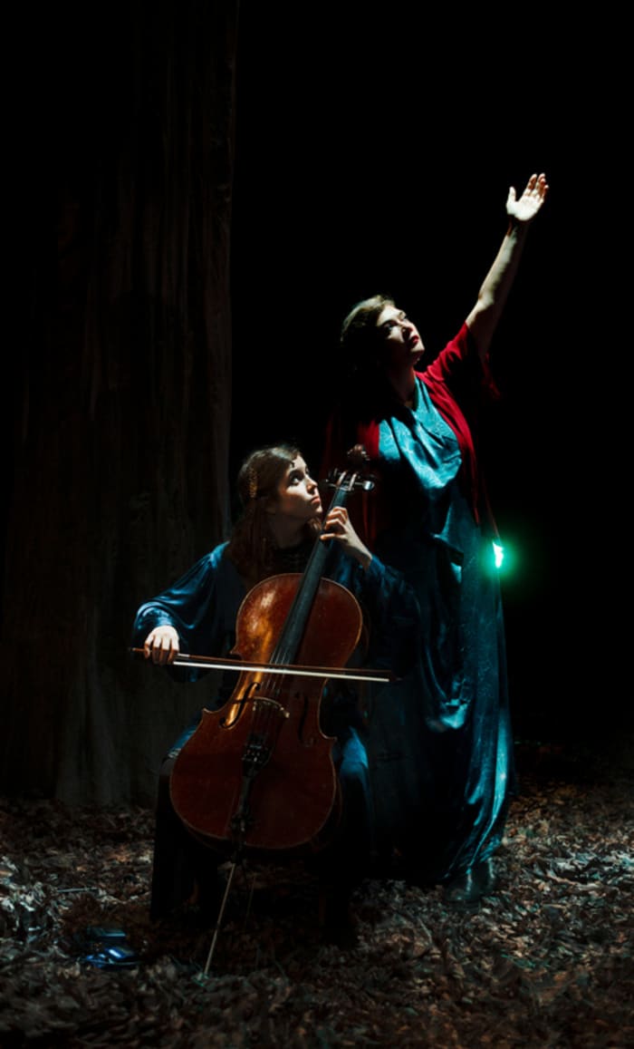 Birds On a Wire - Rosemary Standley & Dom la Nena Odyssée