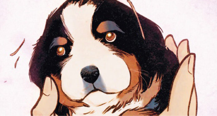 bd josé luis munuera