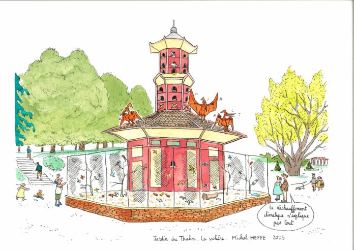 volière thabor rennes