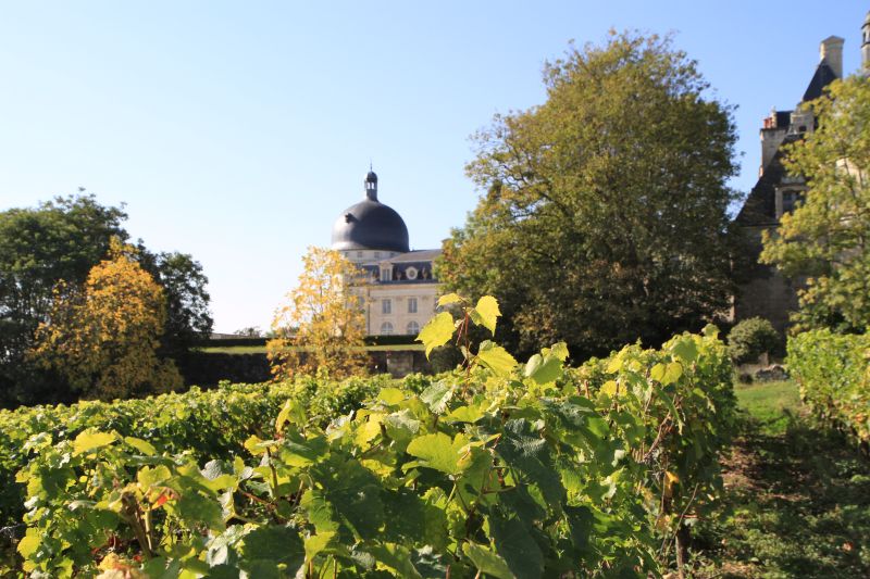 GR de Pays de Valençay Boucle "Vins et Fromages de Valençay" Valençay Centre-Val de Loire