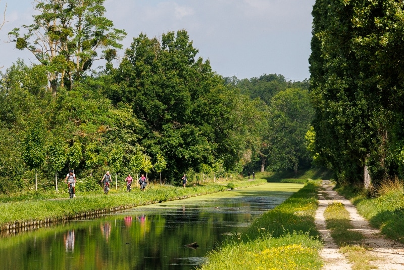 18-Boucles des Combes à Drevant Drevant Centre-Val de Loire