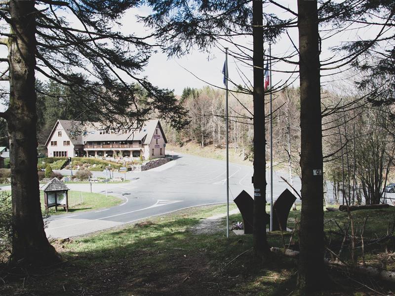 Randonnée La forêt de Chirgoutte Breitenbach Grand Est