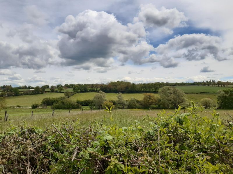29 Boucle des rois Orcenais Orcenais Centre-Val de Loire