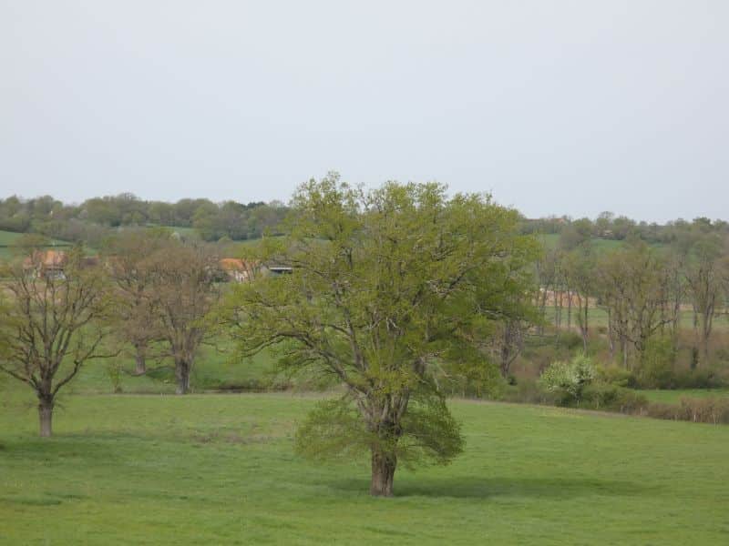 30 Boucle de la Greugne Orcenais Orcenais Centre-Val de Loire