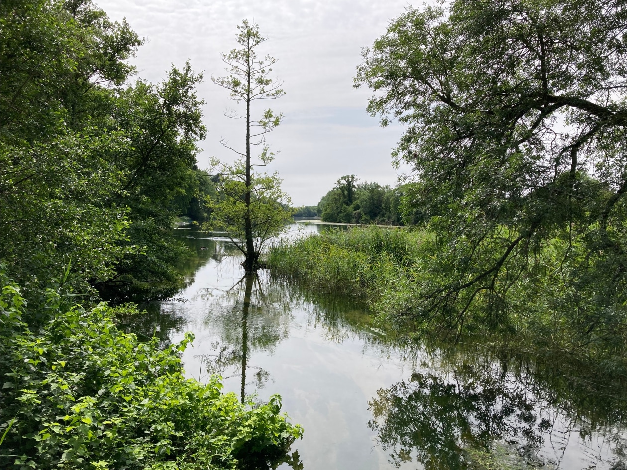 Du Val du Loiret ©FFRandonnée / CDRP 45 Saint-Hilaire-Saint-Mesmin Centre-Val de Loire