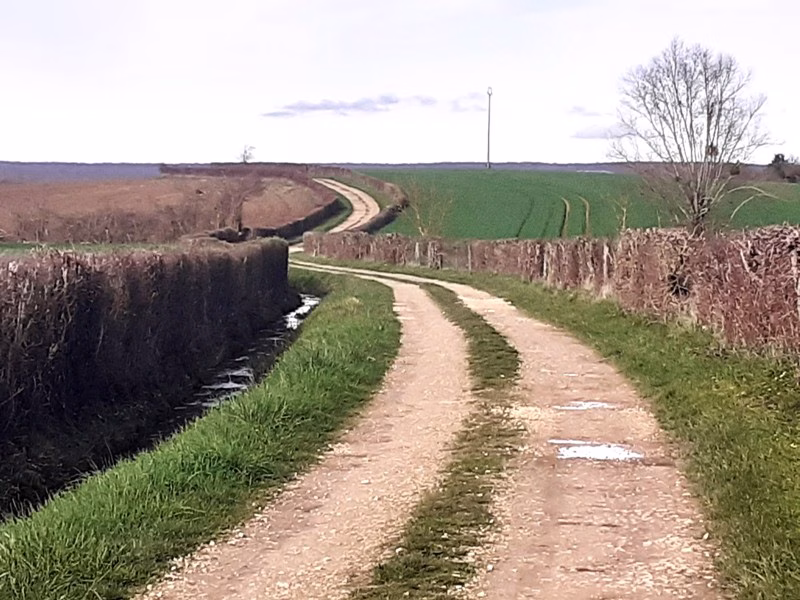5- Boucle Bozacienne à Bouzais Bouzais Centre-Val de Loire