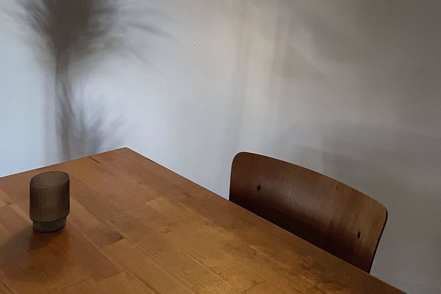 "À l'ombre d'un vaste détail