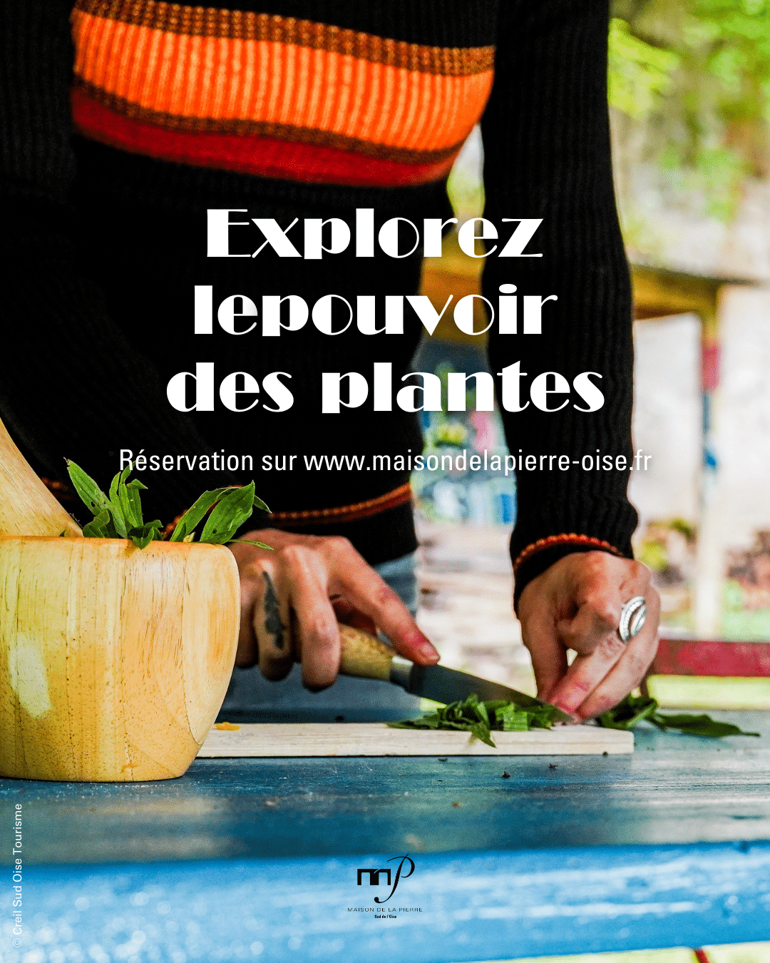 Atelier | Le pouvoir des plantes