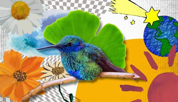 LE CONCERT IMPROMPTU  - BLEU & LE GINKGO Bonneuil-sur-Marne Bonneuil-sur-Marne