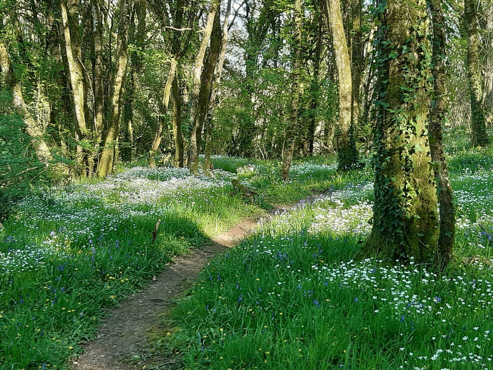 La grande boucle de Coudray Sepvret Nouvelle-Aquitaine