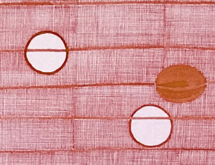 Voyage à Prague - Quintette Dvo?ák | Saison HMJ Conservatoire de Nantes