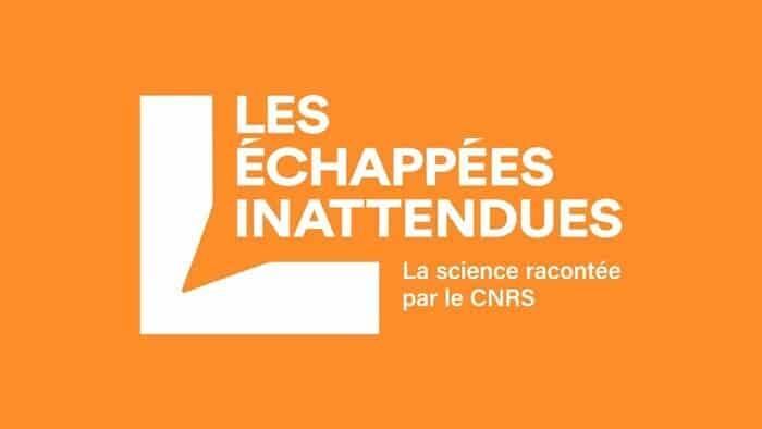 Échappées Inattendues du CNRS : la musique Bibliothèque Antipode Rennes