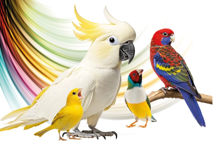 Championnat de France ornithologique Espace René-Cassin