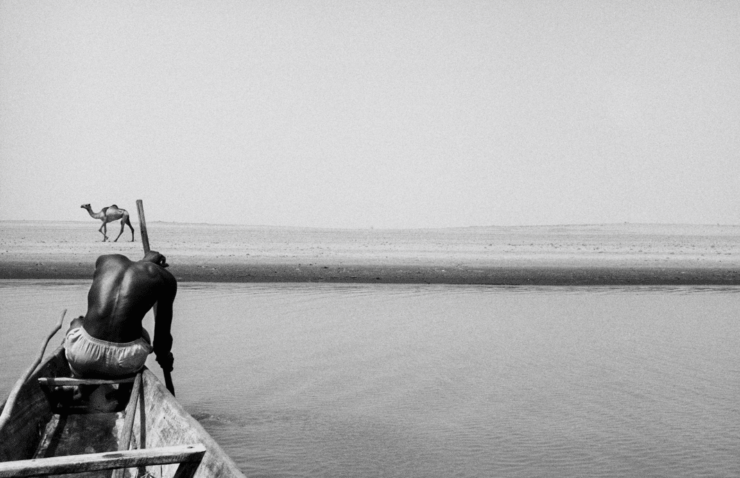 Festival photo La Gacilly 2025 