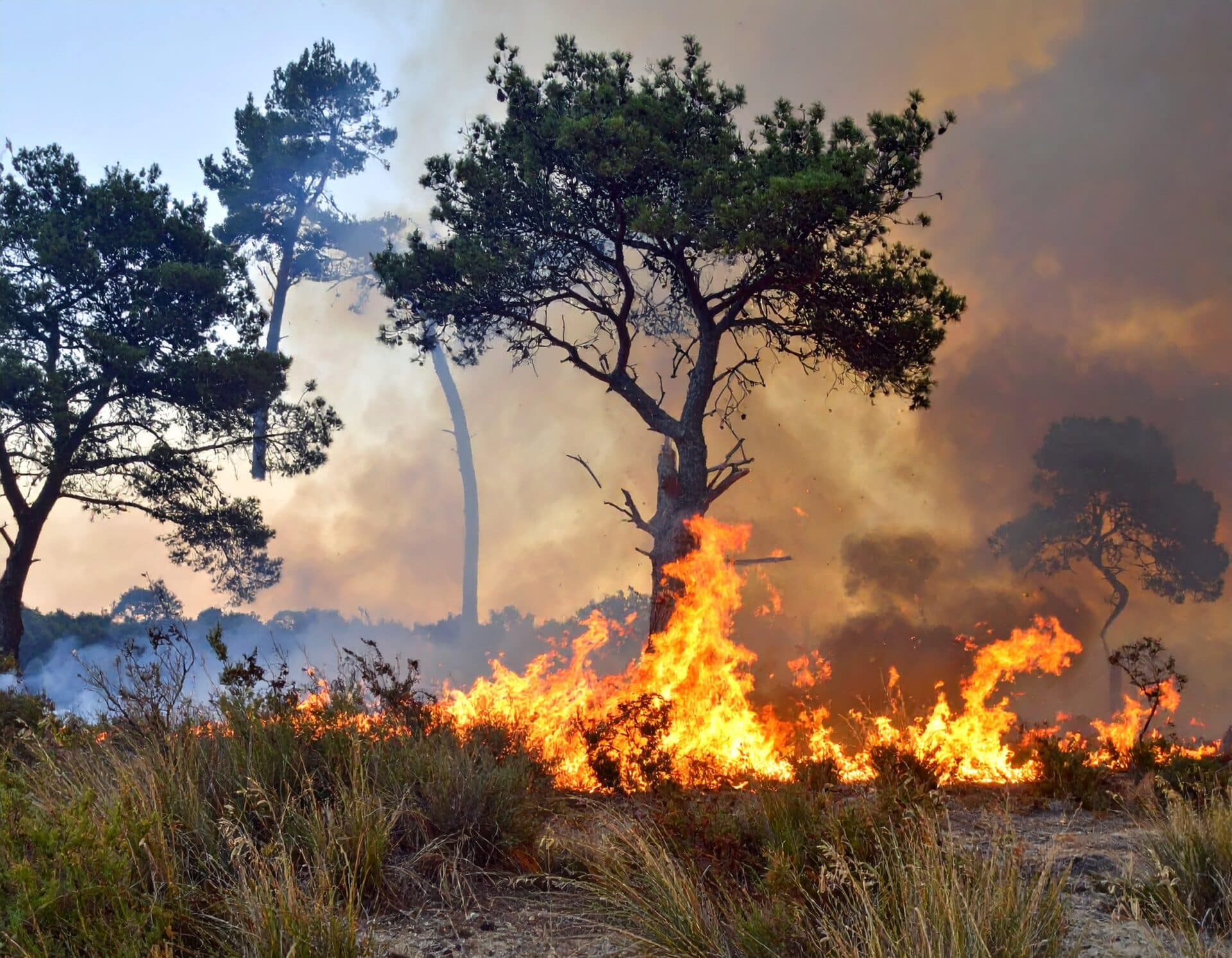 feu foret brocéliande