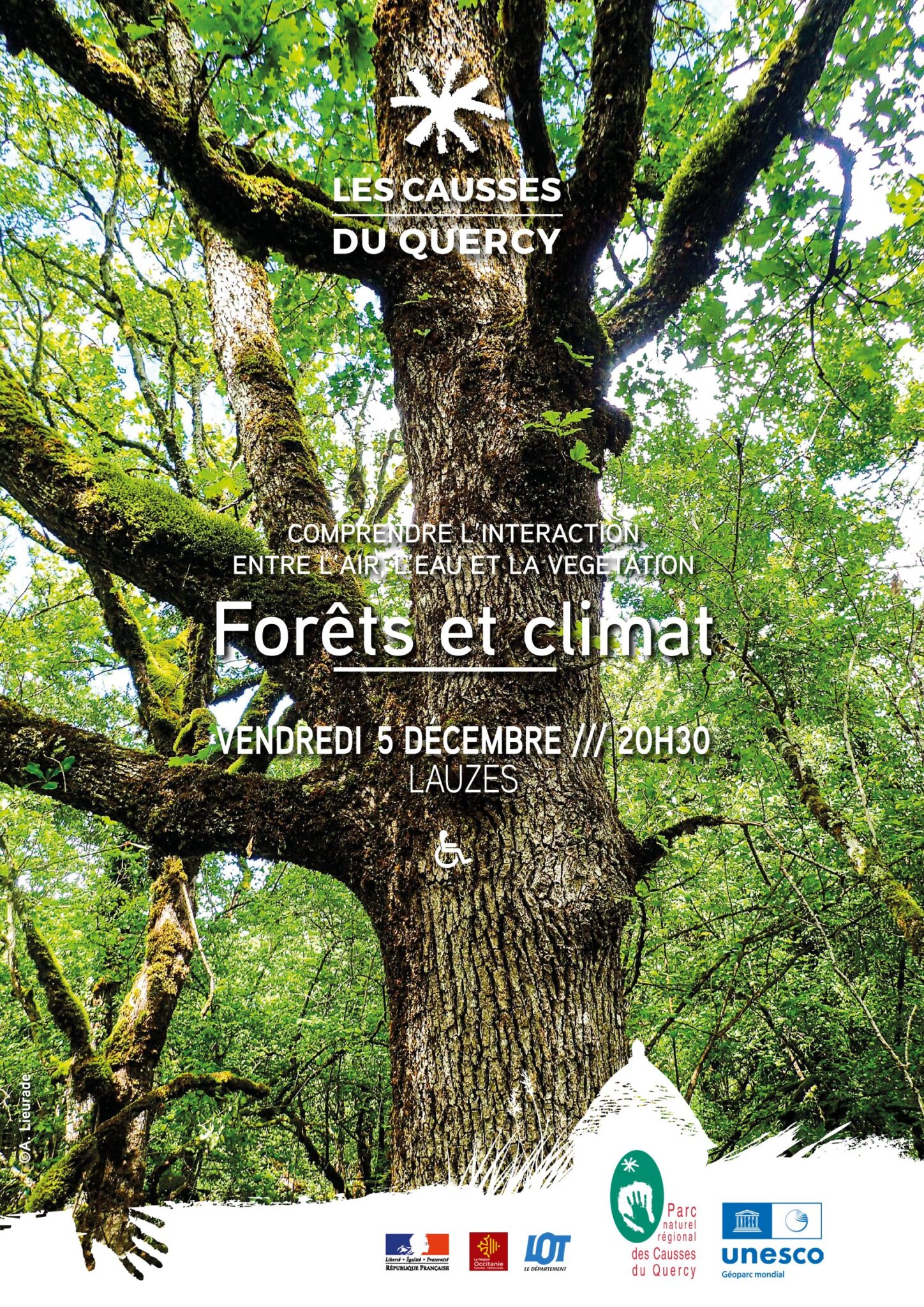 Forets et climat comprendre l'interaction entre l'air