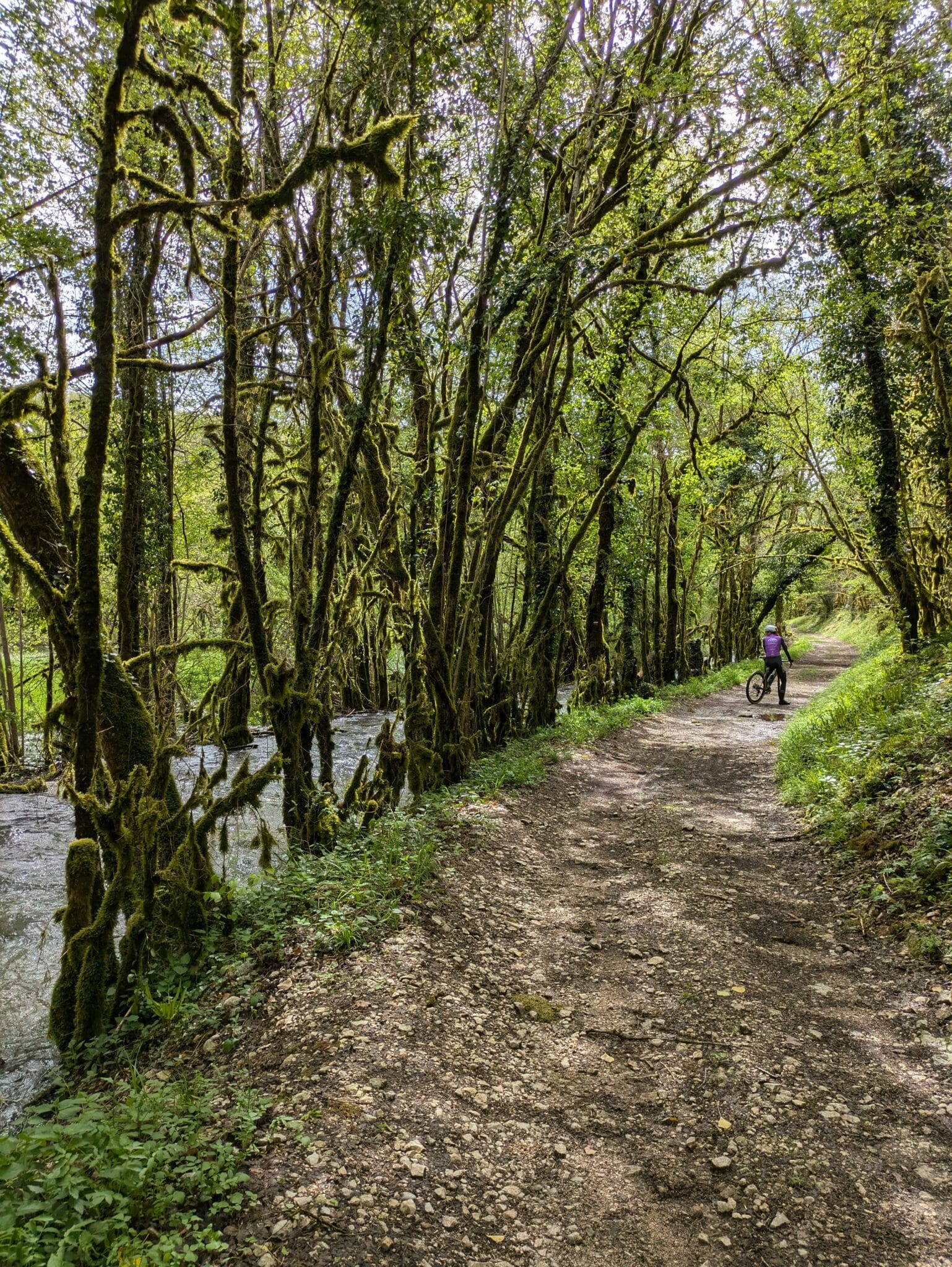 Entre quatre eaux Saint Géry-Vers Occitanie