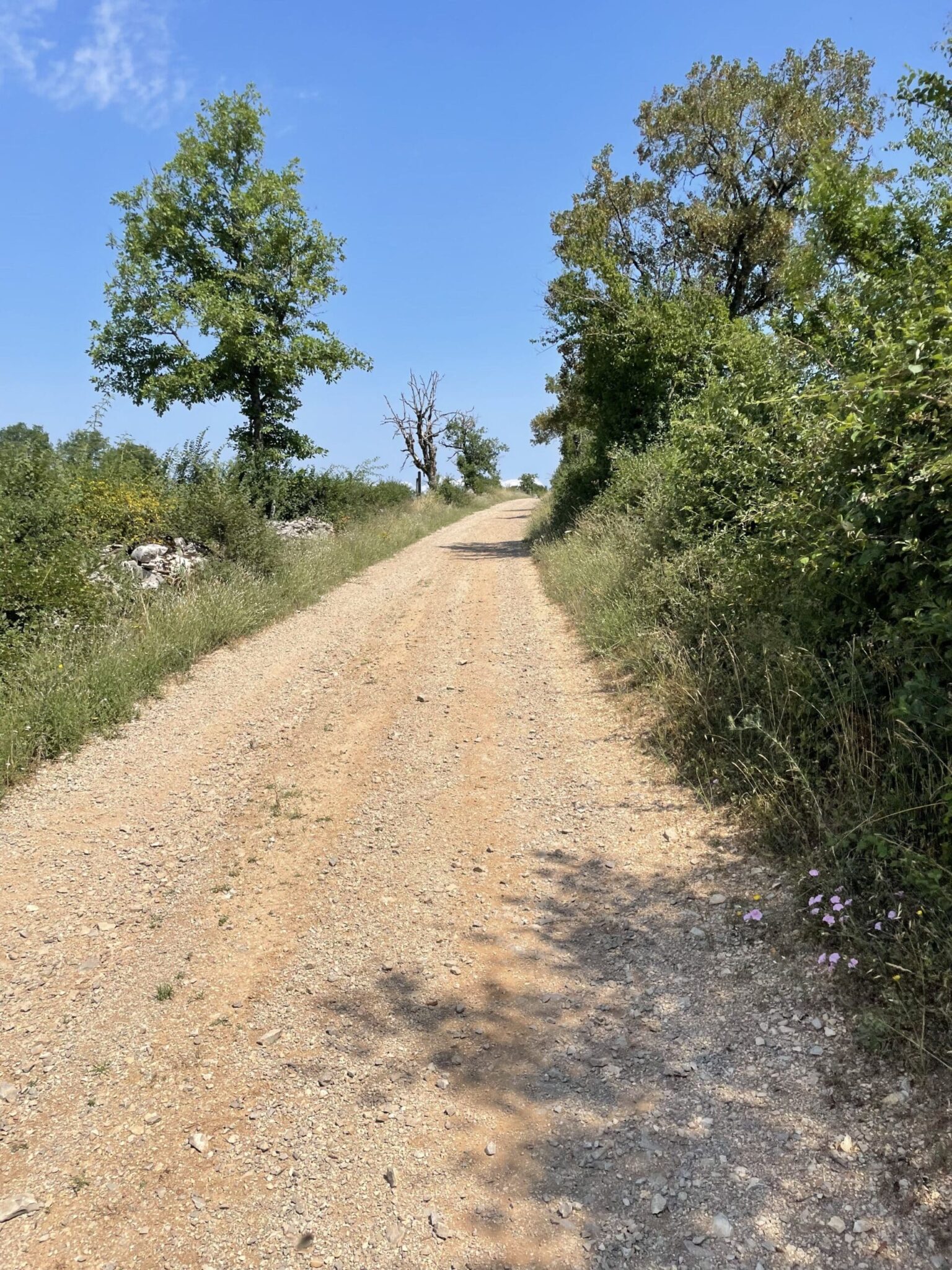 De Loubressac aux abords de la Dordogne Loubressac Occitanie