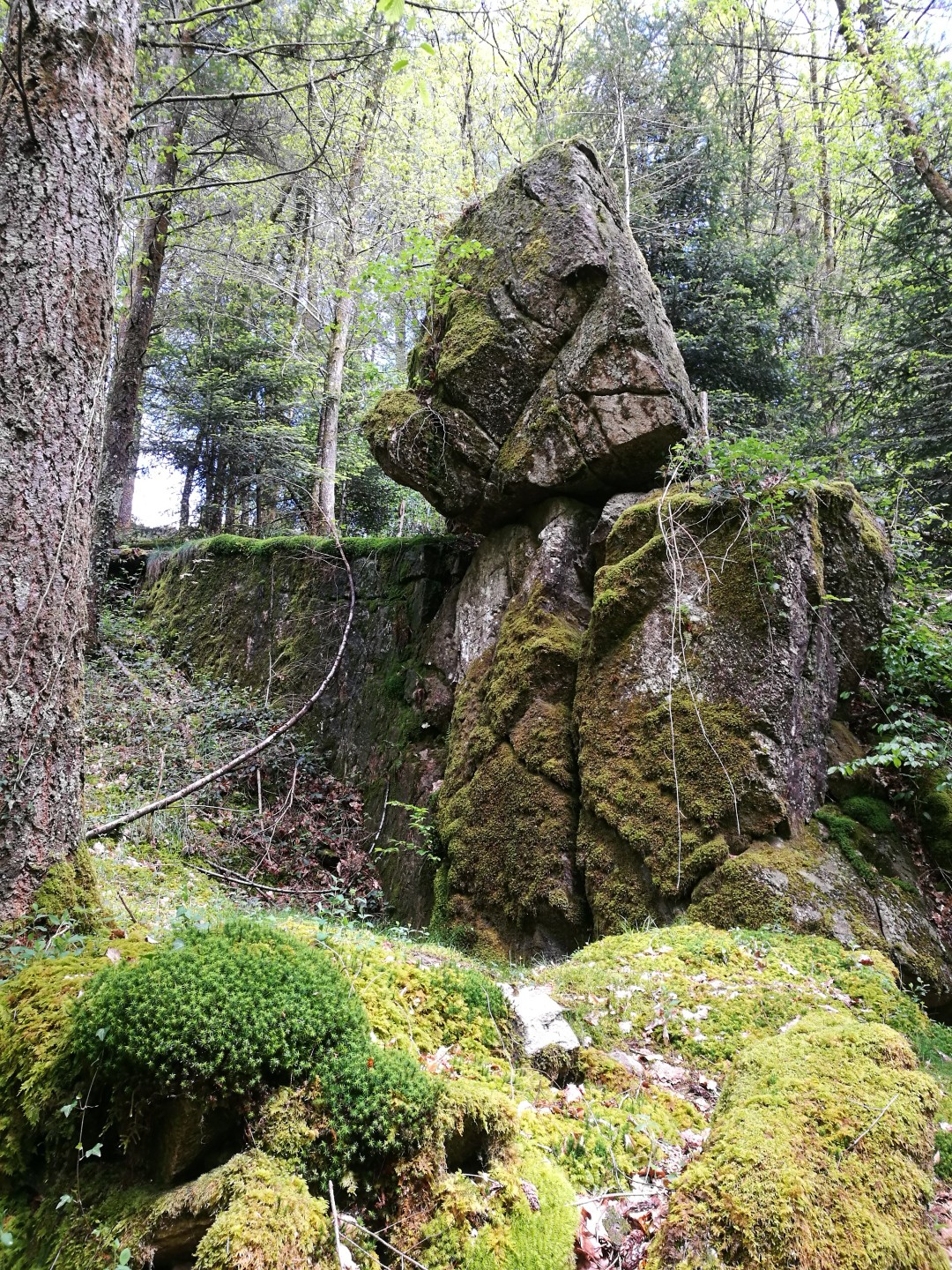 Circuit Pédestre N°59 CC "La Roche branlante" Saint-Pierre-Chérignat Nouvelle-Aquitaine
