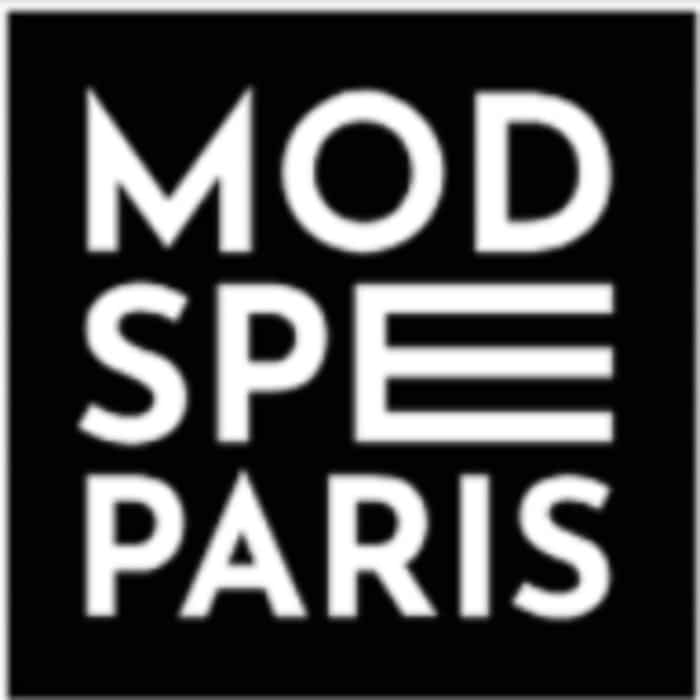 Journée d'immersion MOD'SPE Lille MOD'SPE Lille Lille