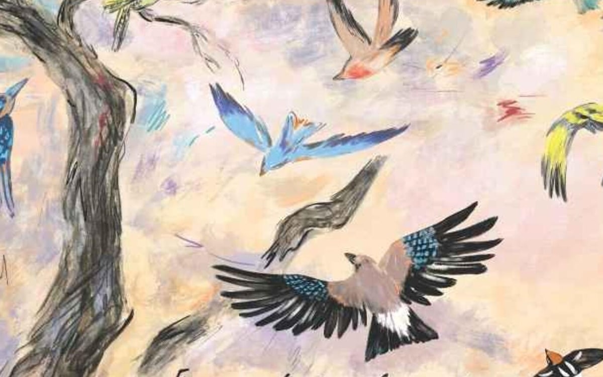 La bibliothèque du cinéma fête le cinéma d'animation Forum des images  Paris