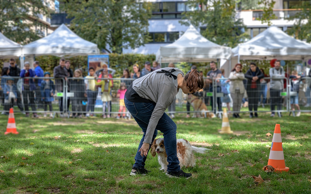 La fête de l'animal en ville est de retour Parc de Bercy Paris
