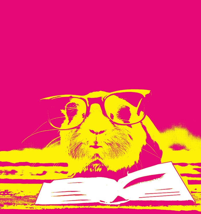 Lancement de saison du club de lecture Médiathèque Jean Falala Reims