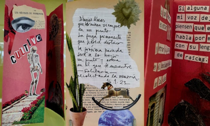 Végéta-lisez Musée et Médiathèque André Malraux Chauny