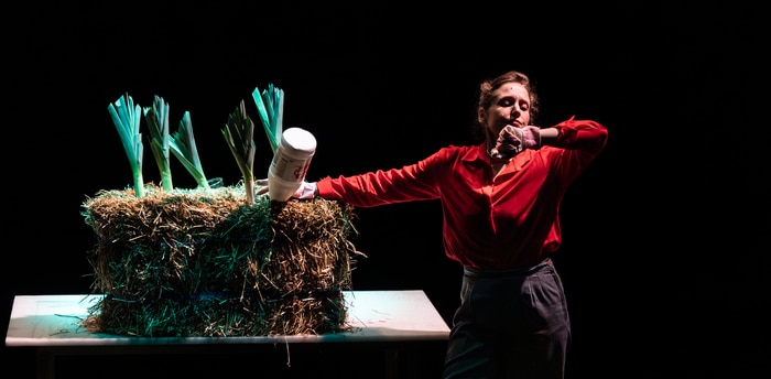 NOS POILS - ou comment bien entretenir son jardin / Cie Le temps d’une halte Théâtre du Cercle Rennes