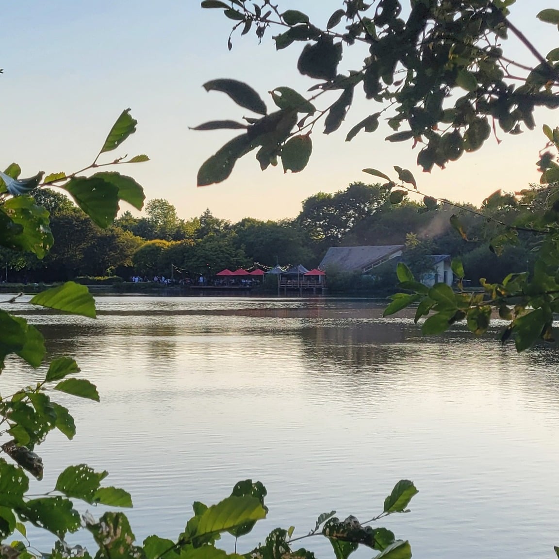feria parc bois gayeulles