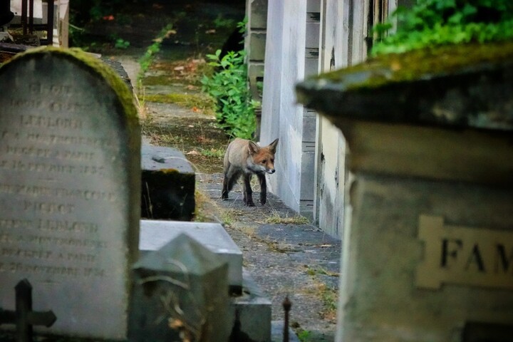Père Lachaise