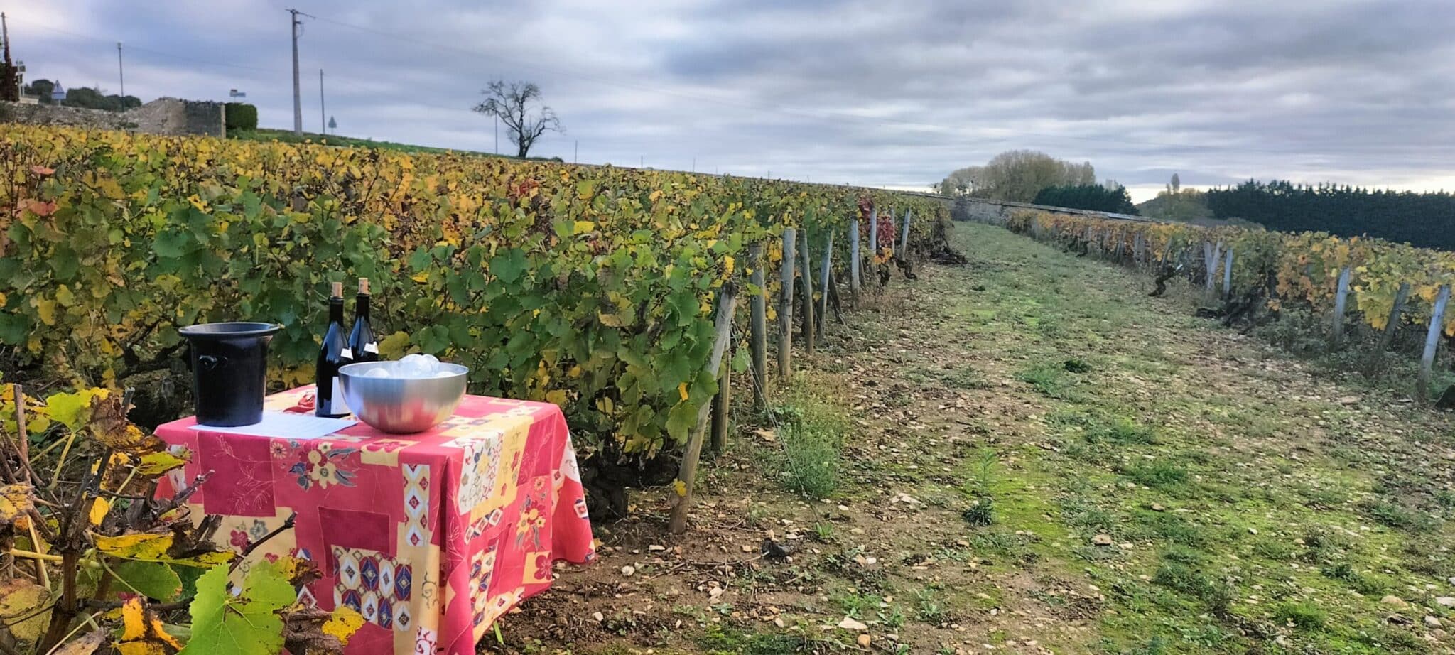 MISSION VIGNERON l'âme d'un terroir