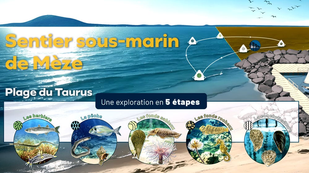 SENTIER SOUS-MARIN DE L'ÉTANG DE THAU Mèze Occitanie