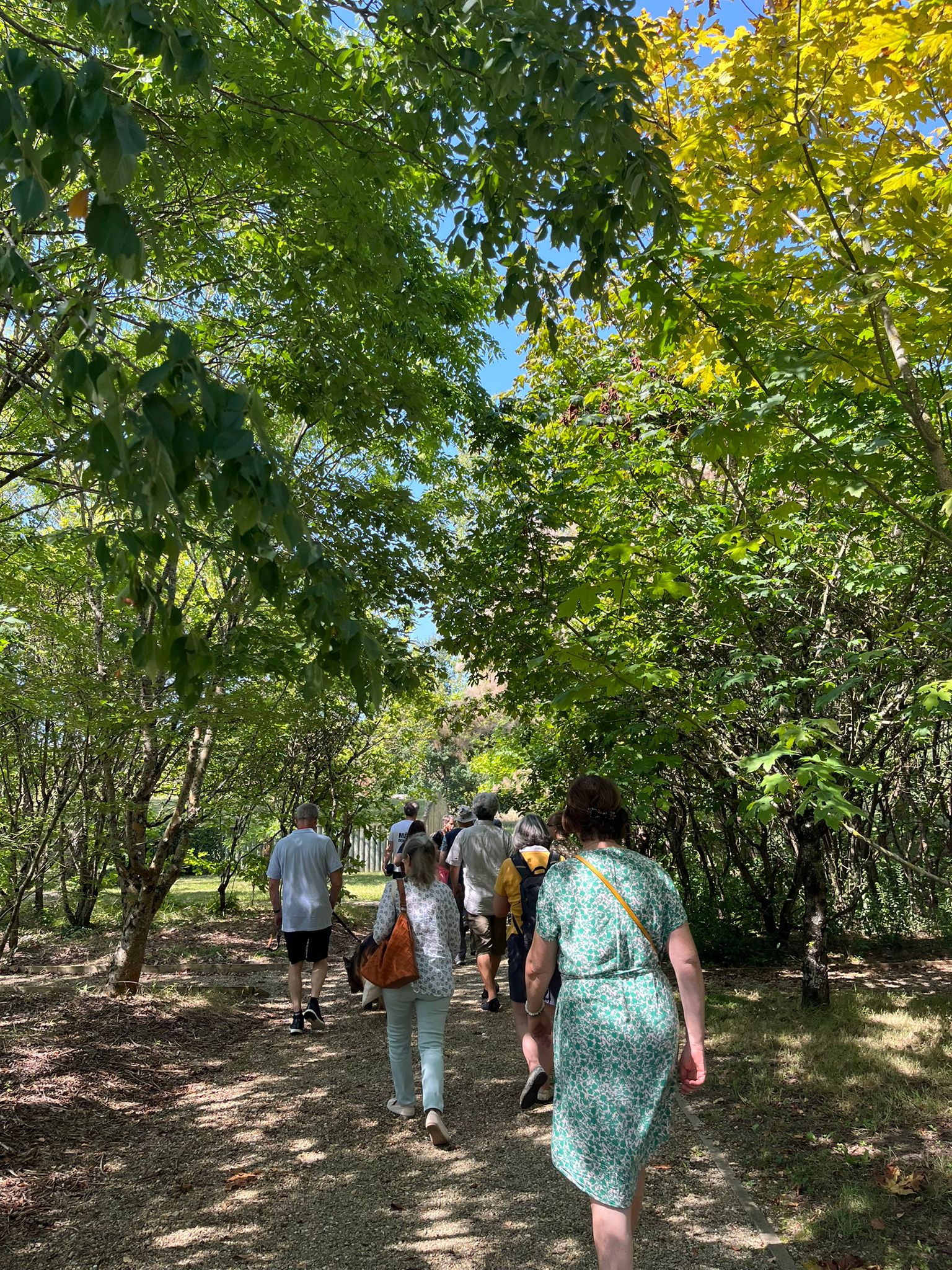 Sortie botanique et mycologique