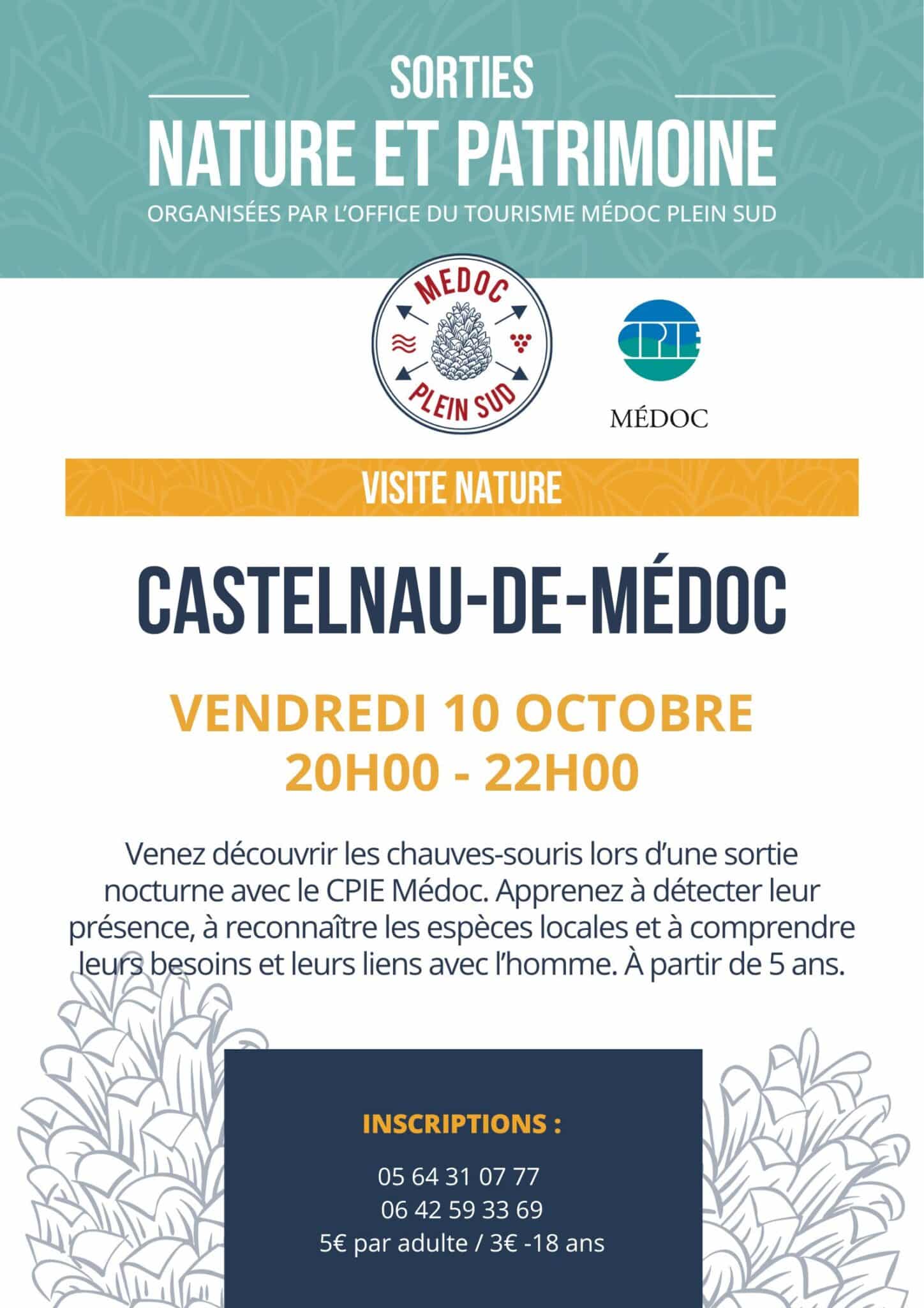 Sortie nature "Découverte des chauves-souris"