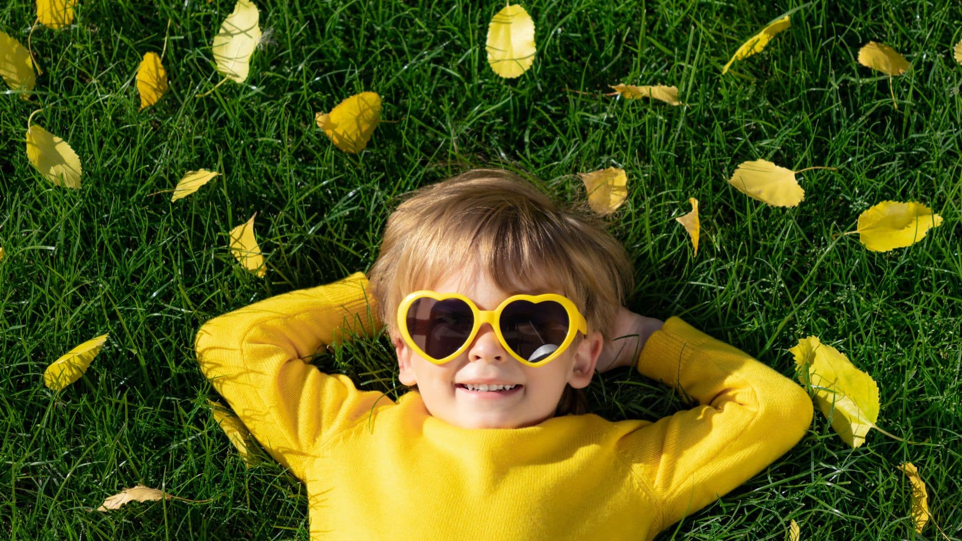 Tadam ! MAD Opéra de Limoges