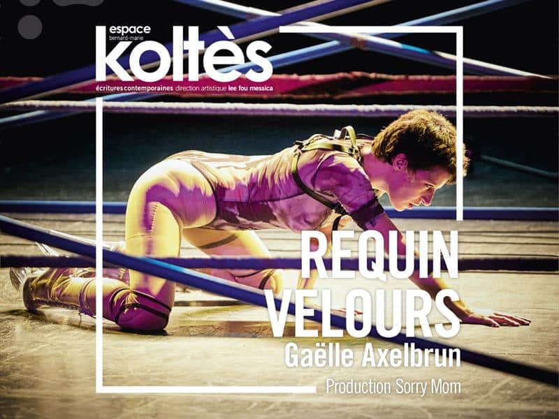 Théâtre Requin Velours