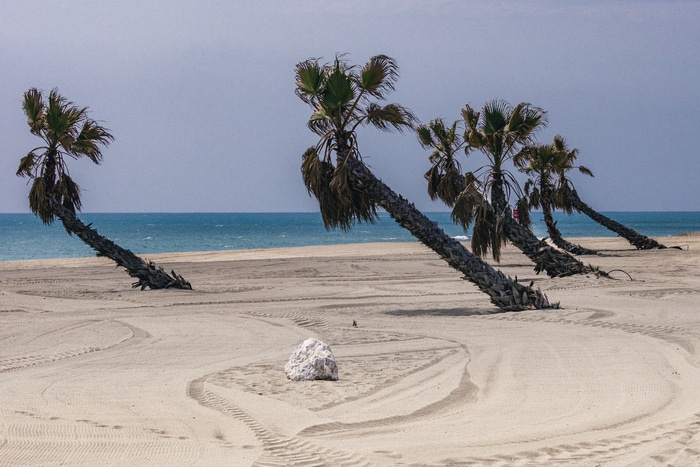 Vacances ! de Philippe Hardy Bibliothèque Thabor-Lucien Rose Rennes