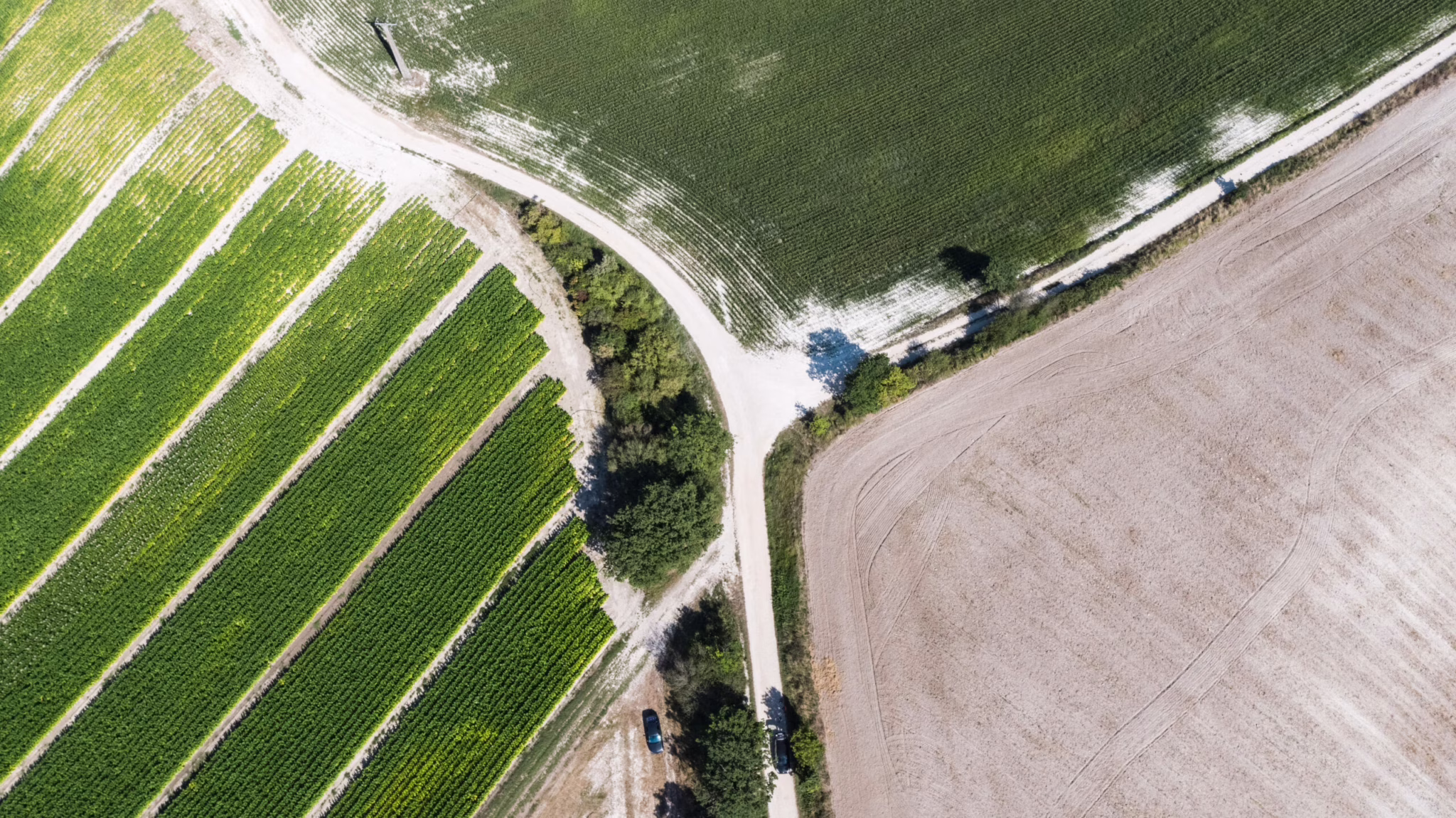 Les graviers blancs Labastide-Marnhac Occitanie