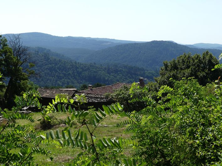 Les Pins Saint-Julien-des-Points Occitanie