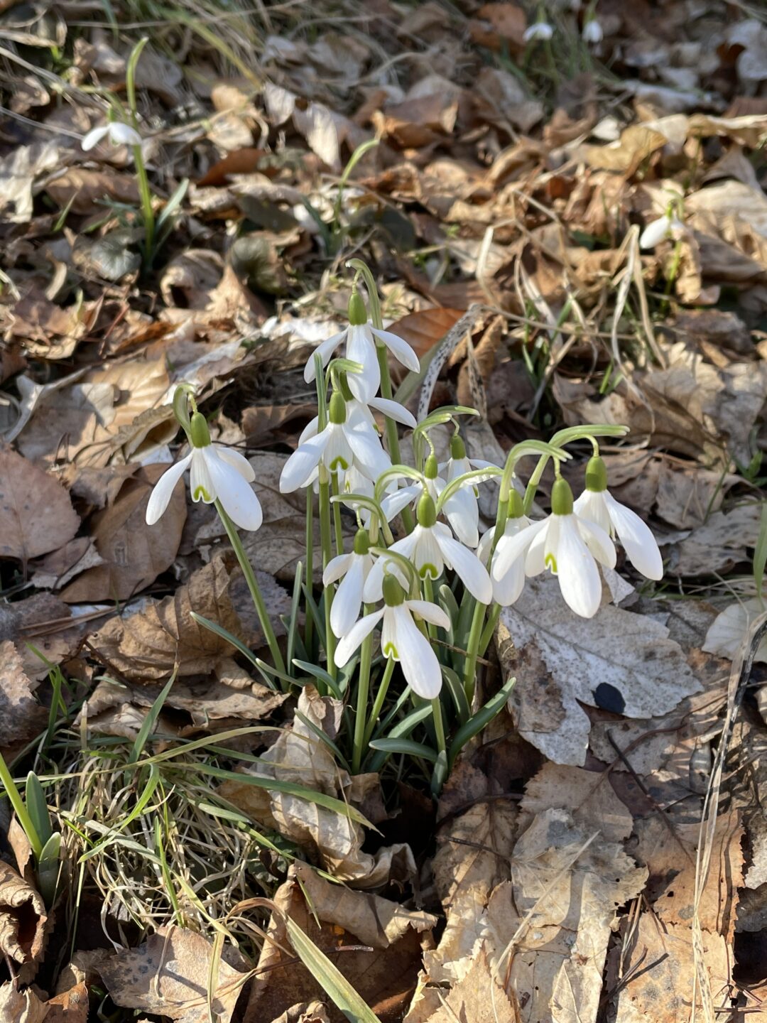 Au Départ des Gorges Naussac-Fontanes Occitanie