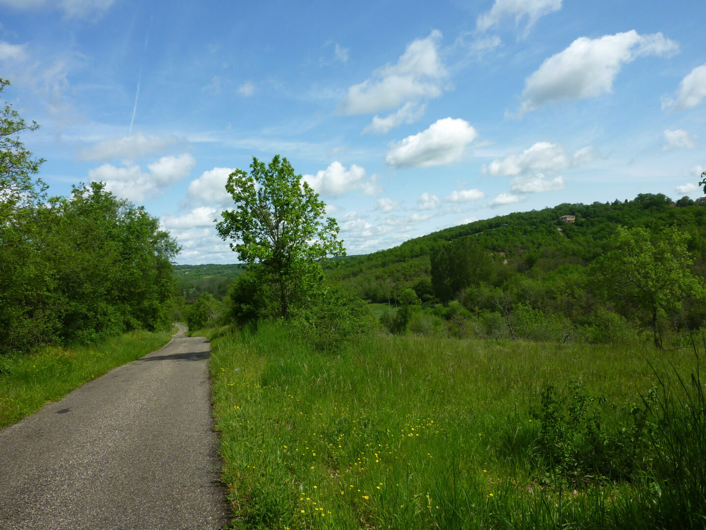 Balade Entre l'Ourajou et le Palazat Salviac Occitanie
