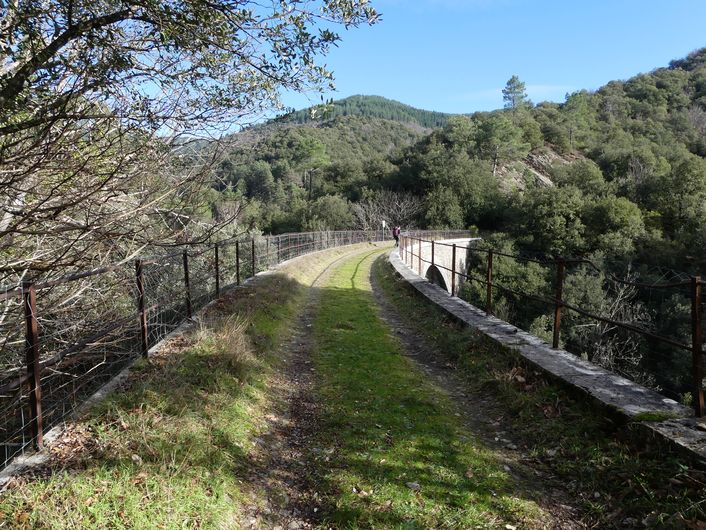 Champdomergue Saint-Privat-de-Vallongue Occitanie