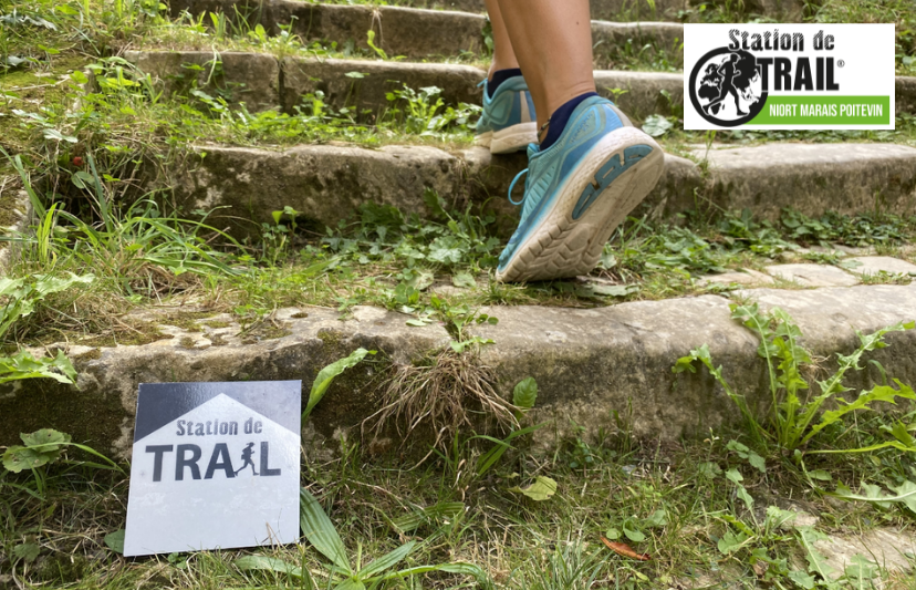 De St Martin à Prahecq par les crêtes Station de Trail Prahecq Nouvelle-Aquitaine De St Martin à Prahecq par les crêtes Station de Trail Prahecq Nouvelle-Aquitaine