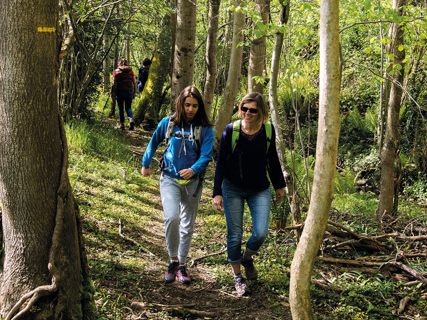 Ouillon chemin des bergers Ouillon Nouvelle-Aquitaine