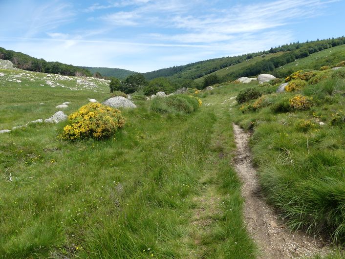Bayardet Pont de Montvert Sud Mont Lozère Occitanie