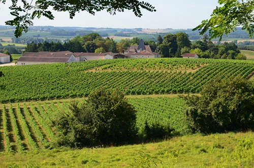 Circuit vignes et vergers en Duraquois Duras Nouvelle-Aquitaine Circuit vignes et vergers en Duraquois Duras Nouvelle-Aquitaine